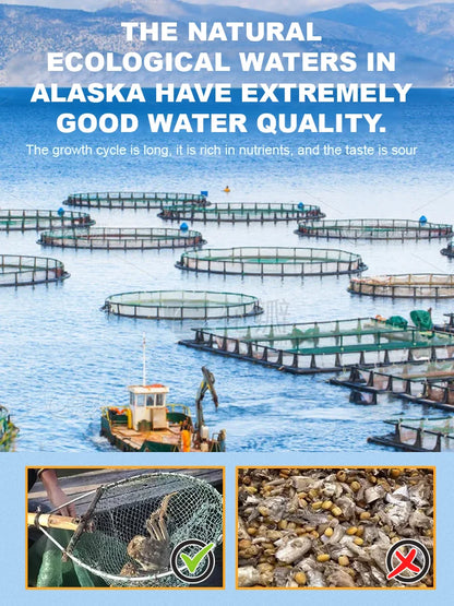 Alaskan Snow Crab Ready-to-EatCrispy Crab-Will